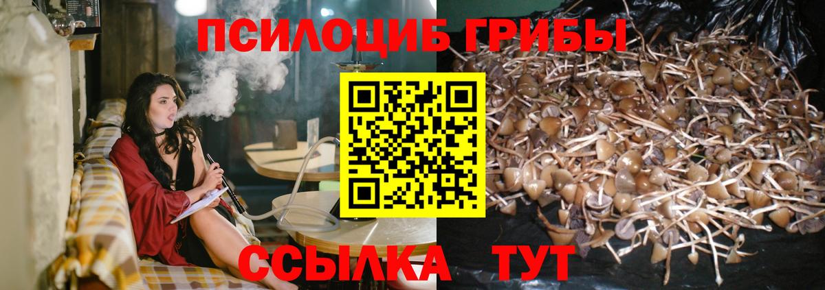 Псилоцибиновые грибы мицелий  Вход с VPN  Галлюциногенные грибы Cubensis  Назрань 
